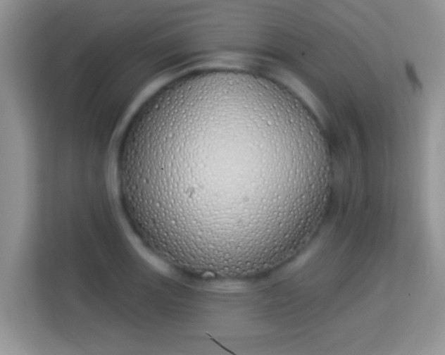 X0000114001131200910091357