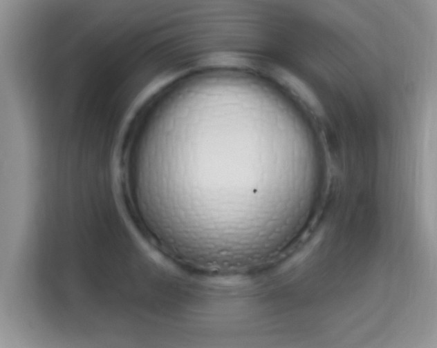 X0000114001133200910091357