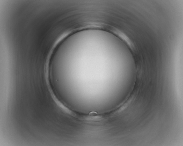 X0000114001135200910091357