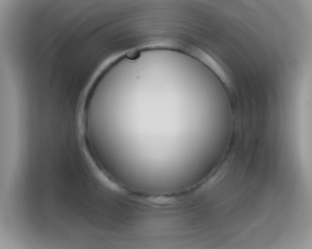 X0000114001140200910091357