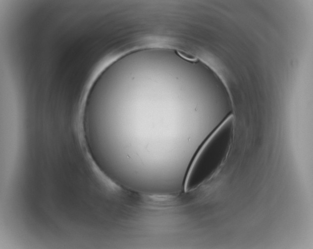 X0000114001152200910091357