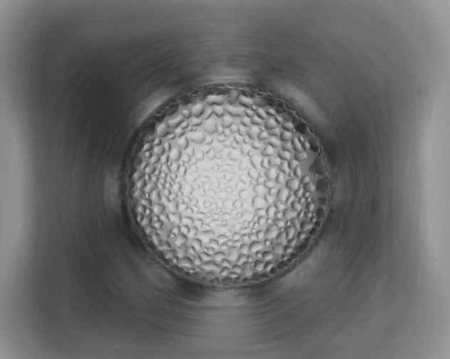 X0000114001162200910091357