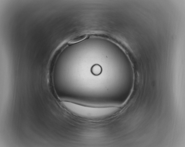 X0000114001165200910091357