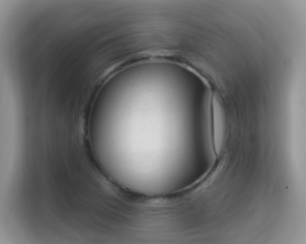 X0000114001169200910091357