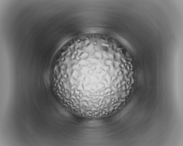 X0000114001178200910091357