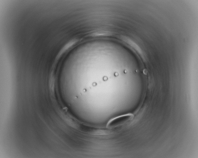 X0000114001179200910091357