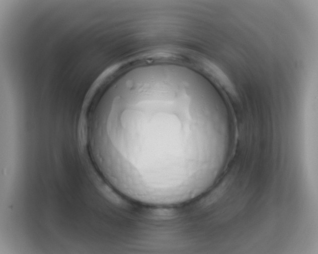 X0000114001180200910091357
