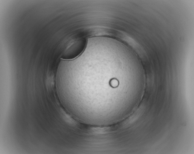 X0000114001185200910091356