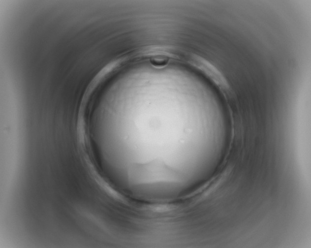 X0000114001188200910091356