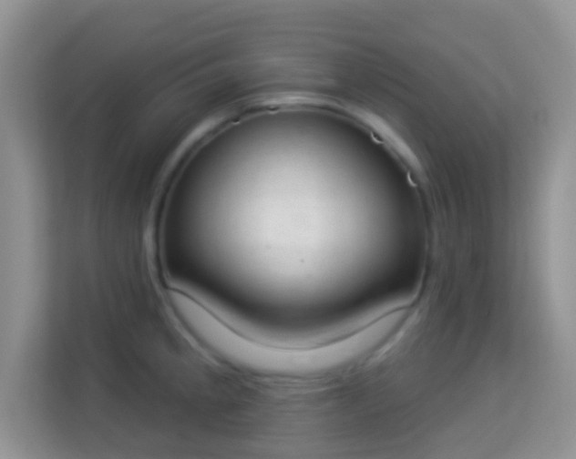 X0000114001189200910091356