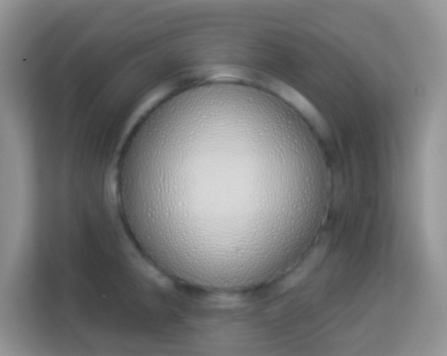 X0000114001190200910091356