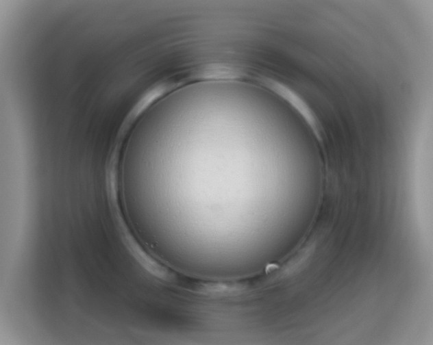 X0000114001195200910091356