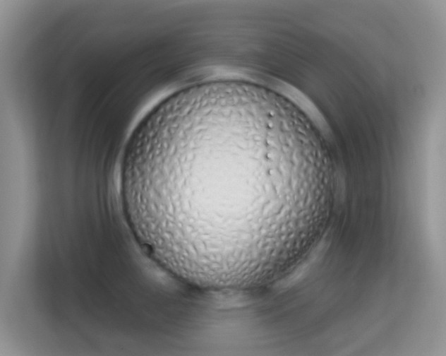 X0000114001198200910091356