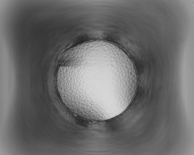 X0000114001201200910091356