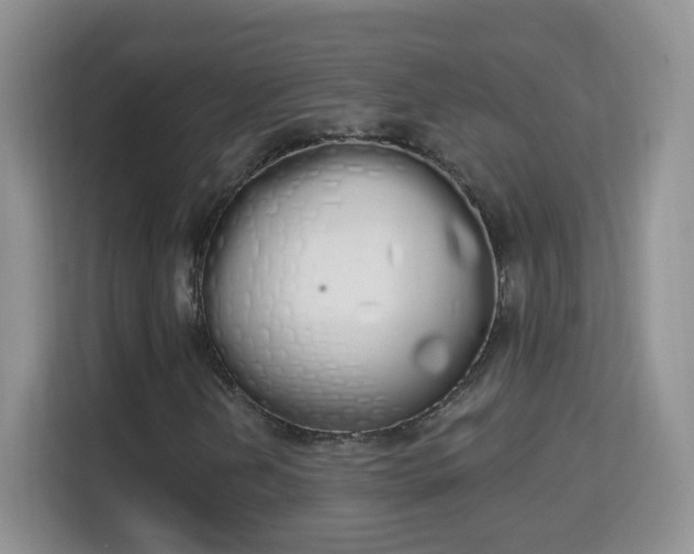 X0000114001202200910091356