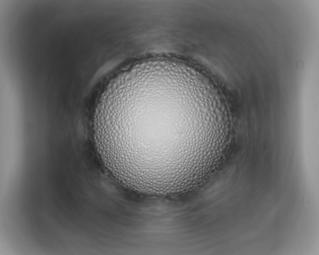 X0000114001207200910091356