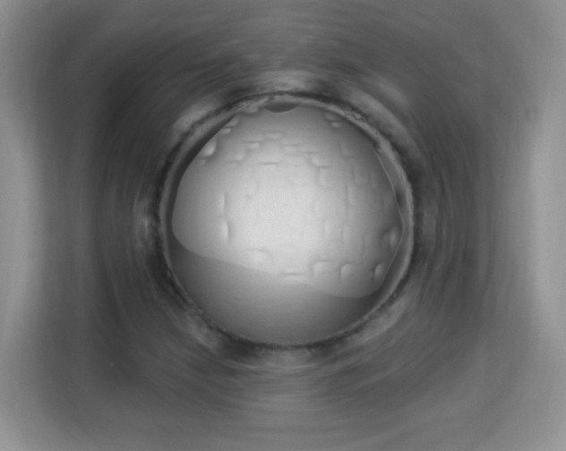 X0000114001210200910091356