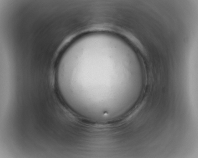 X0000114001224200910091356