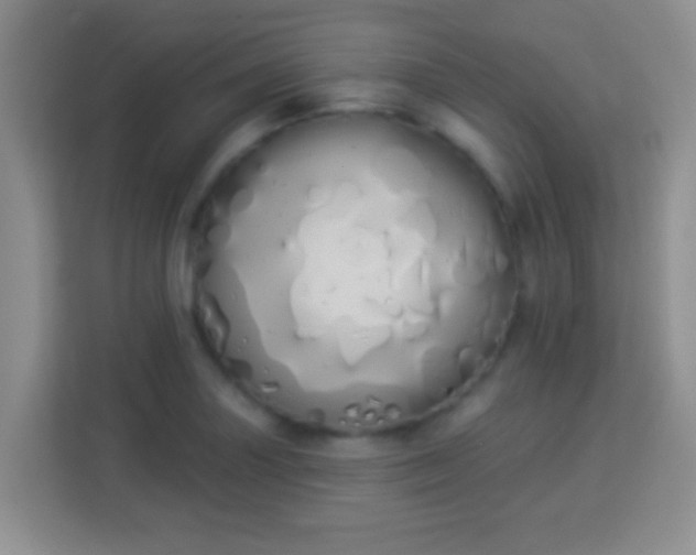 X0000114001227200910091356