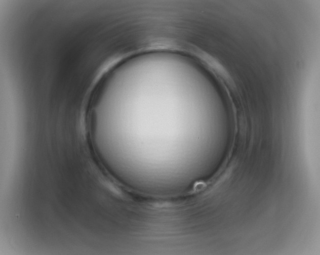 X0000114001230200910091356