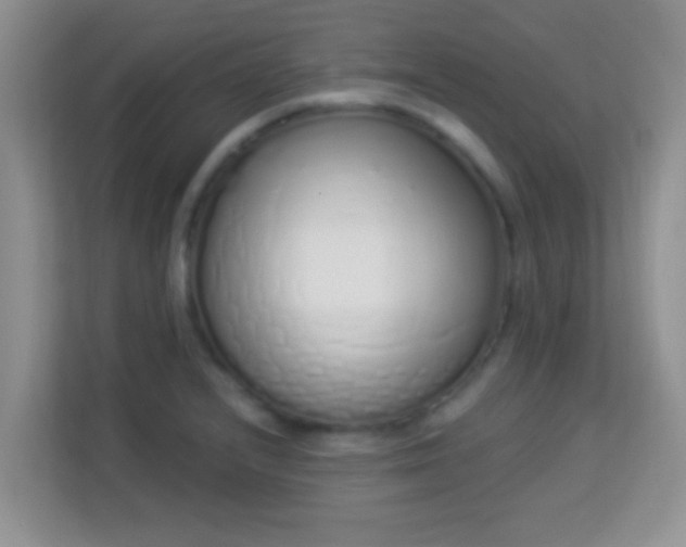 X0000114001232200910091356