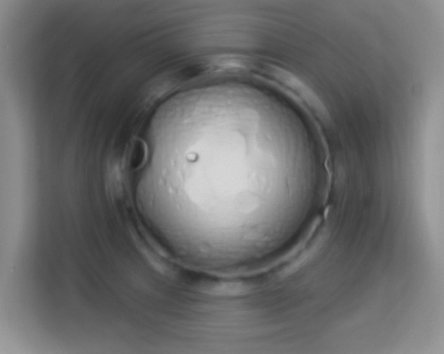 X0000114001233200910091356