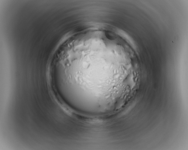 X0000114001235200910091356