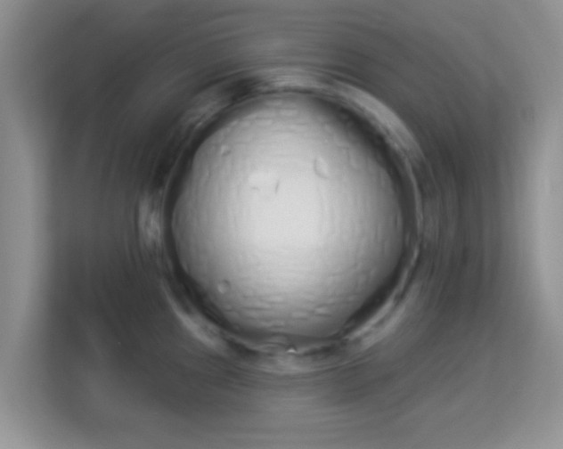 X0000114001241200910091356