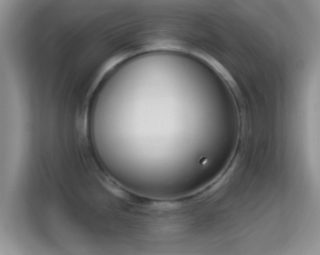 X0000114001246200910091356