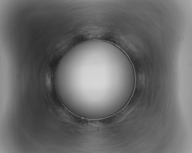 X0000114001250200910091356