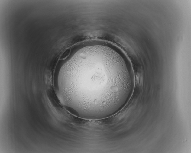 X0000114001251200910091356