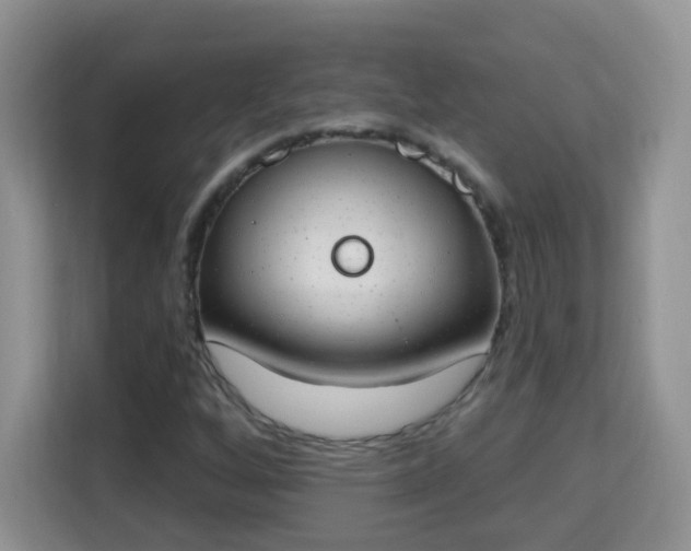 X0000114001256200910091356