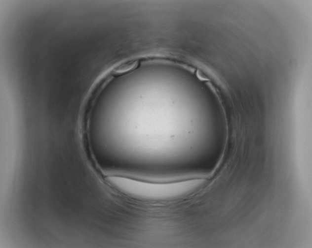 X0000114001264200910091355