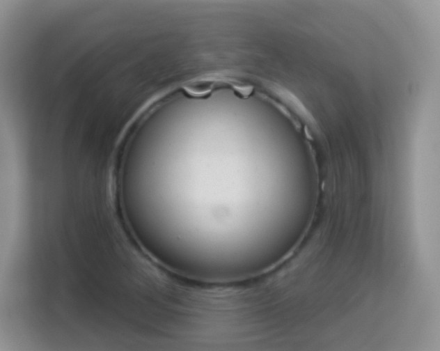 X0000114001268200910091355