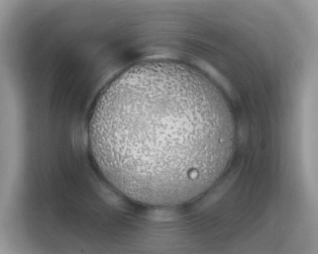 X0000114001274200910091355
