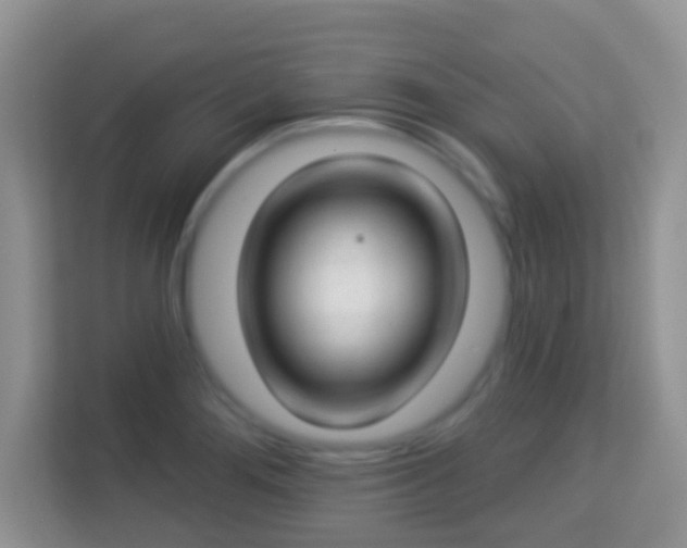 X0000114001276200910091355