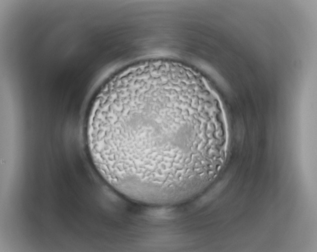 X0000114001278200910091355