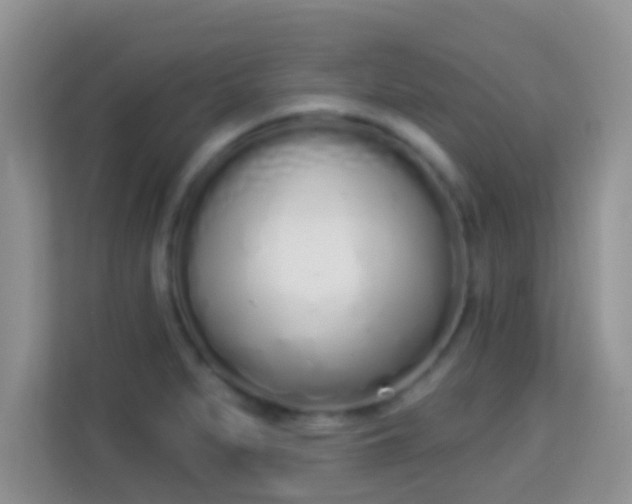 X0000114001279200910091355