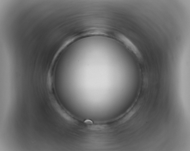 X0000114001284200910091355