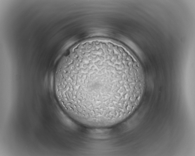 X0000114001290200910091355