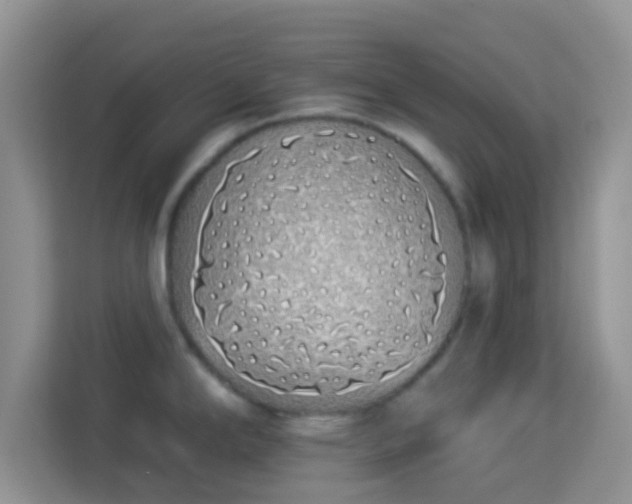 X0000114001294200910091355