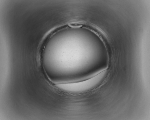 X0000114001310200910091355