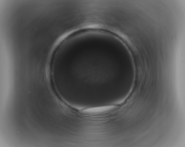 X0000114001319200910091355