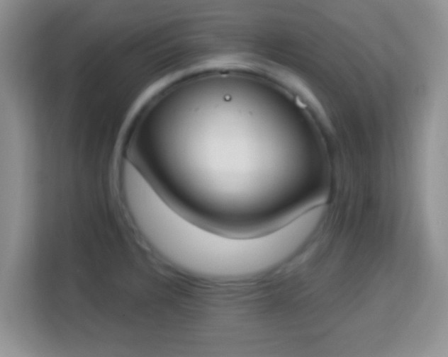 X0000114001328200910091355