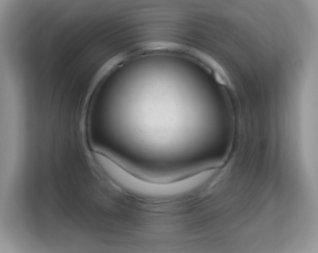 X0000114001330200910091355