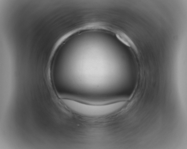 X0000114001336200910091355