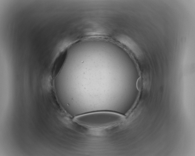 X0000114001357200910091354