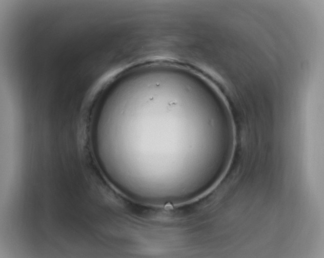 X0000114001359200910091354