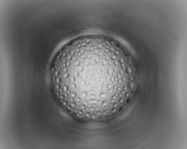 X0000114001366200910091354
