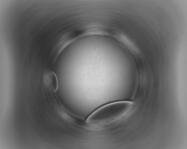 X0000114001369200910091354